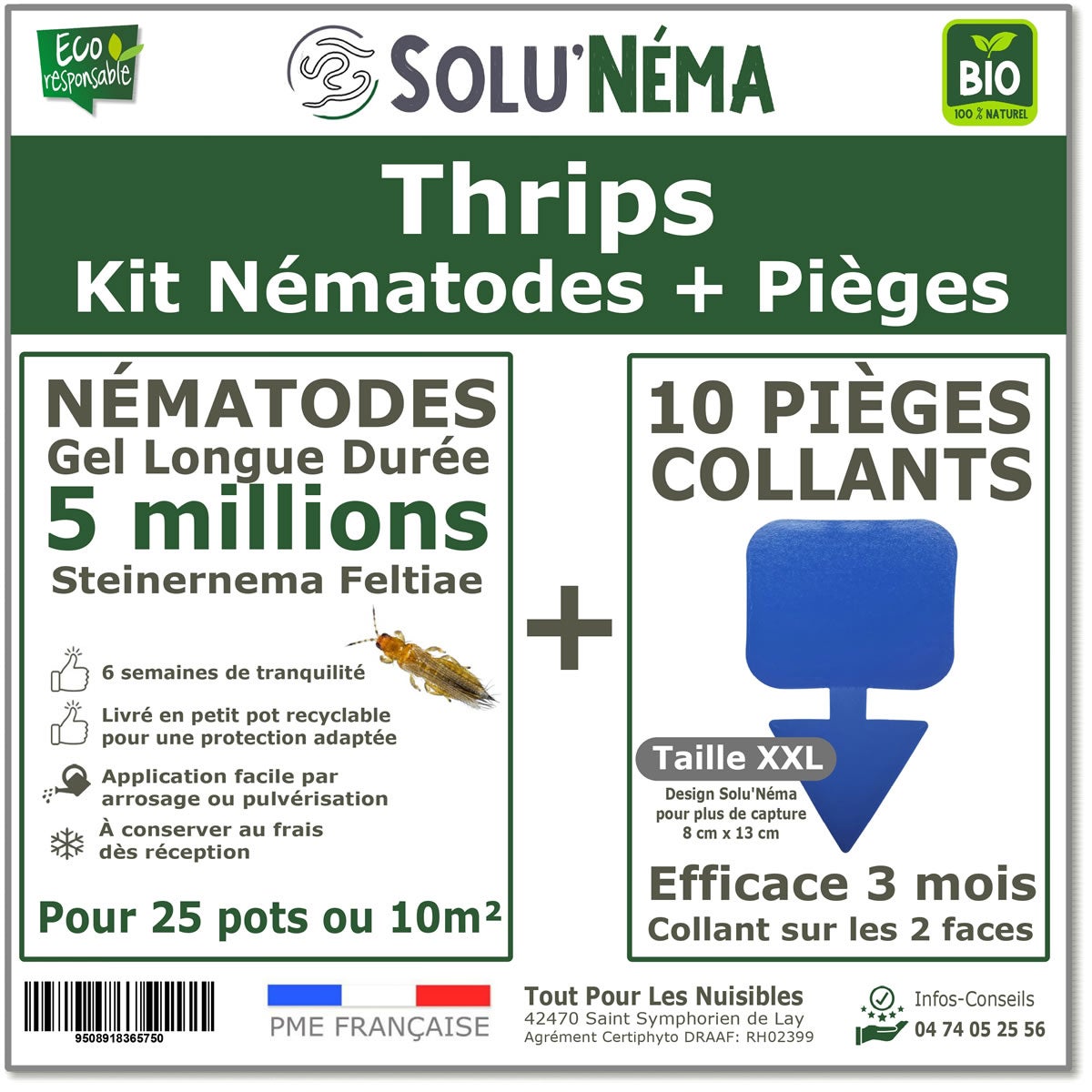 Lutter contre les sciarides (ou moucherons de terreau) – Troque Ta Plante – Le Blog