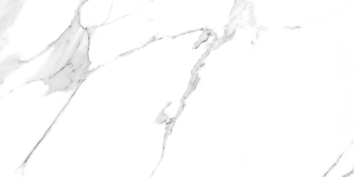 Carrelage rectifié pour sol ou mur intérieur 60 cm x 120 cm - Swiss White Grey - 6