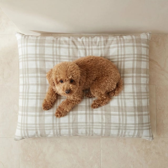 Cama para animais com capa removíve Jara Beige M (80x60 cm)
