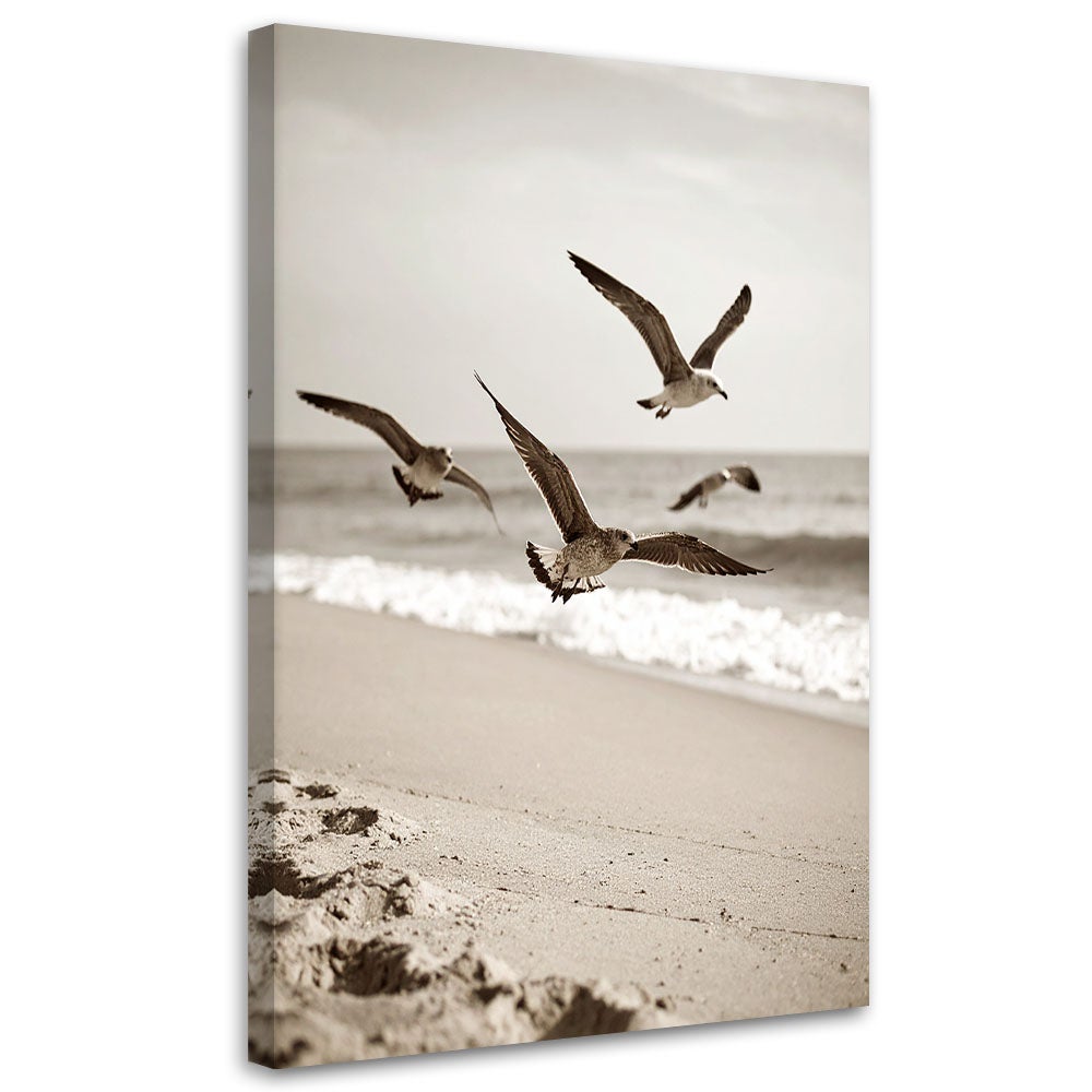 Obraz do salonu kuchni biura, Mewy ptaki morze plaża natura 60x90