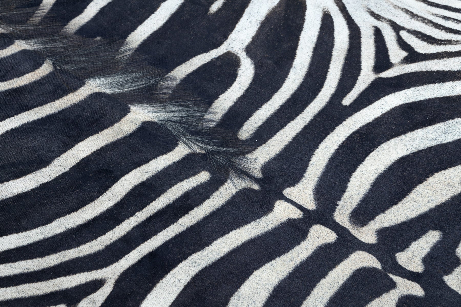 Tapis Imitation Peau de vache, Zèbre G5128-1, cuir noir blanc 100x150 cm - 4