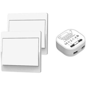 Interrupteur sans fil, dont l'émetteur est doté d'un bouton manuel pour la génération mécanique d'énergie, et qui ne nécessite ni câblage ni piles. (1 To 1