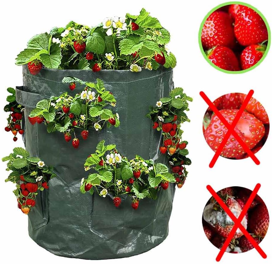 Sac à fraisiers - Sac de Plantation pour Fraises - Vert - 3