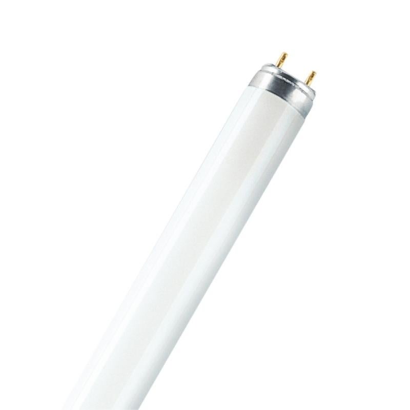 Osram LUMILUX T8 ampoule fluorescente 58 W G13 Blanc froid - 3