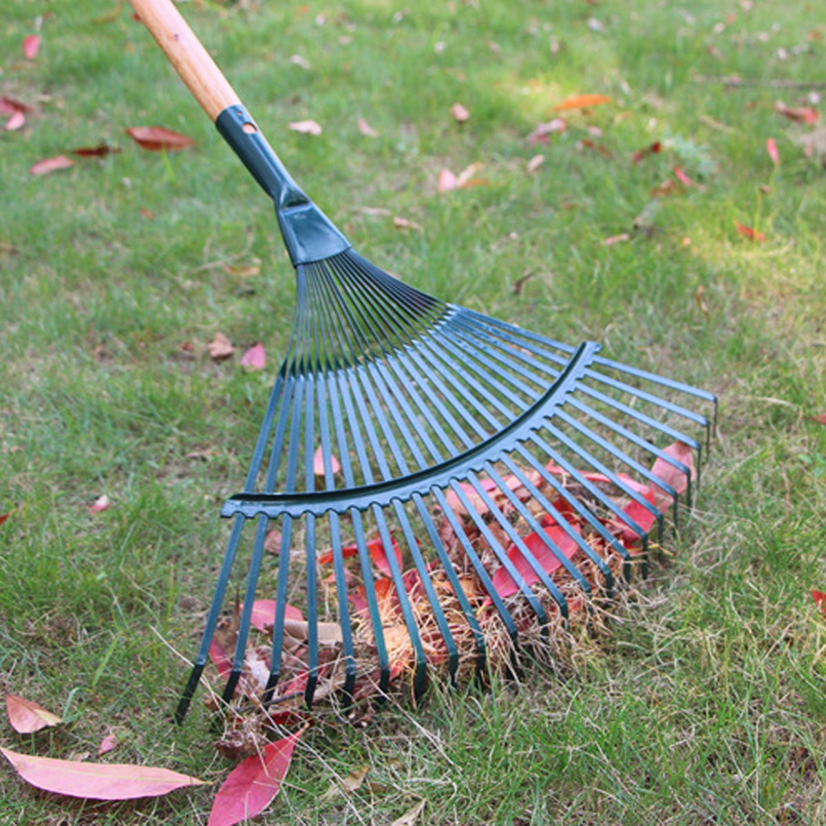 22 Teeth Heavy Duty Steel Metal Rake for Head High Carbon Steel Lawn ...