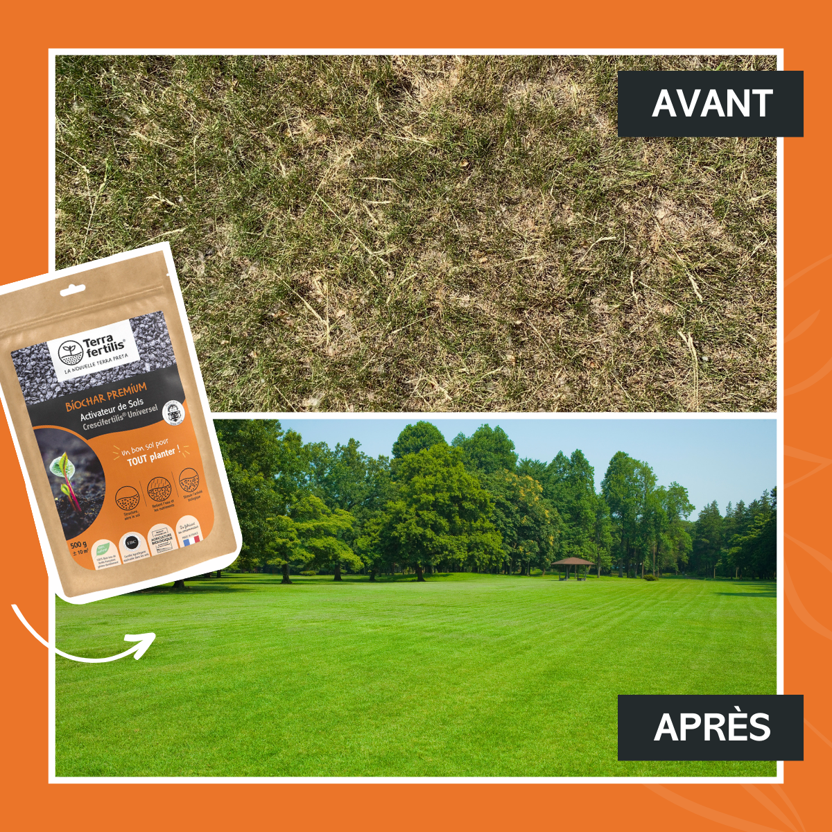 Fertilisant Universel À Base De Biochar - 500g - 4