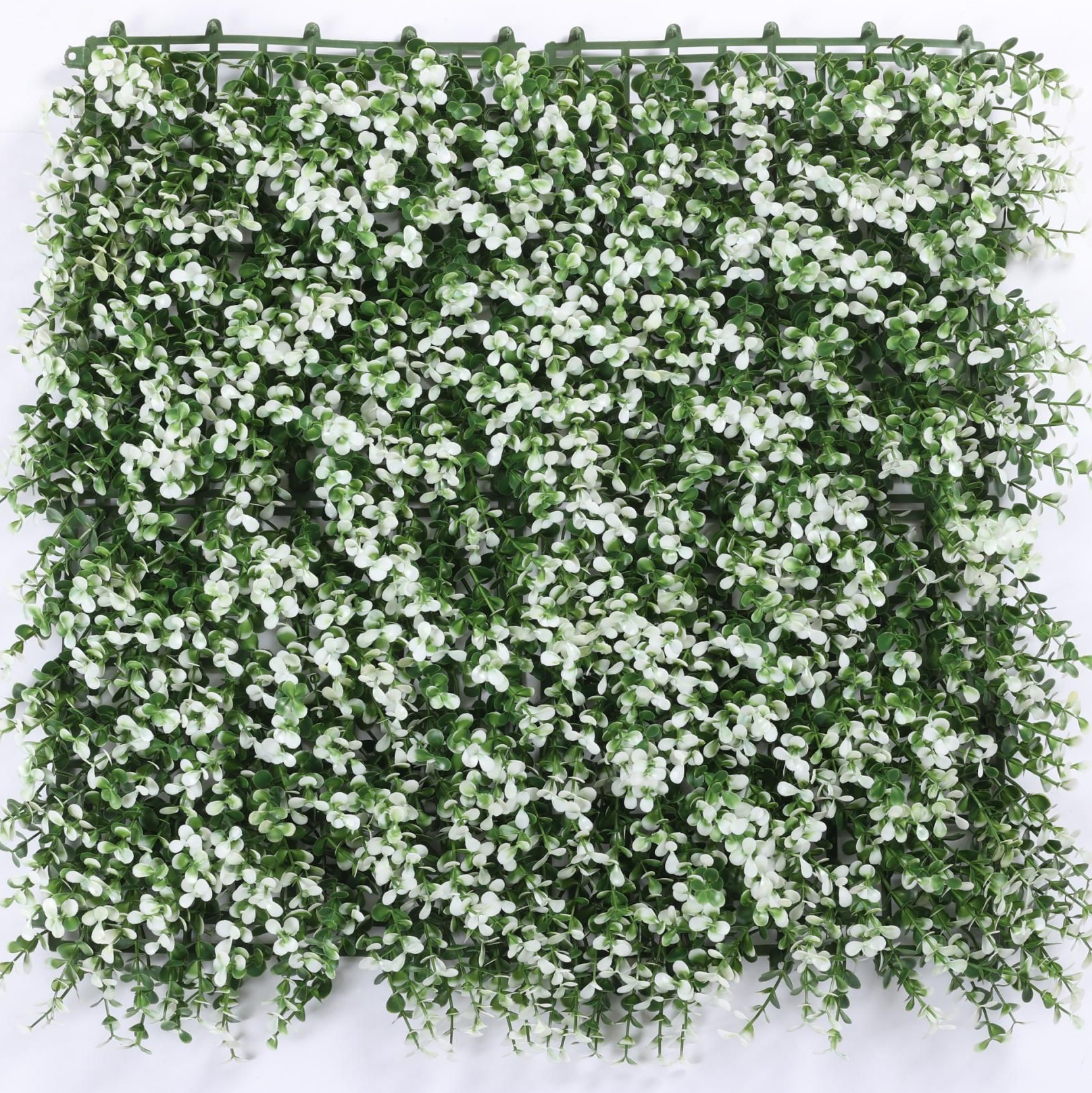 Sztuczny żywopłot 50 cm x 50 cm, ochrona i prywatność do ogrodu, tło ścienne z trawy syntetycznej, ochrona UV (1 sztuka)