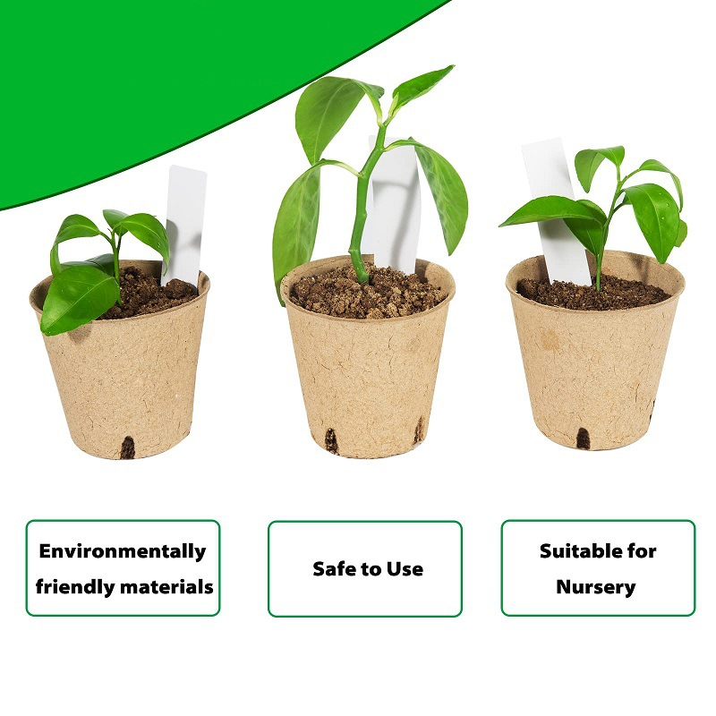 50 piccoli vasetti di fibra di semi biodegradabili con 20 etichette + 1 paio di attrezzi + 1 seminatrice per la semina di piante biodegradabili - 4
