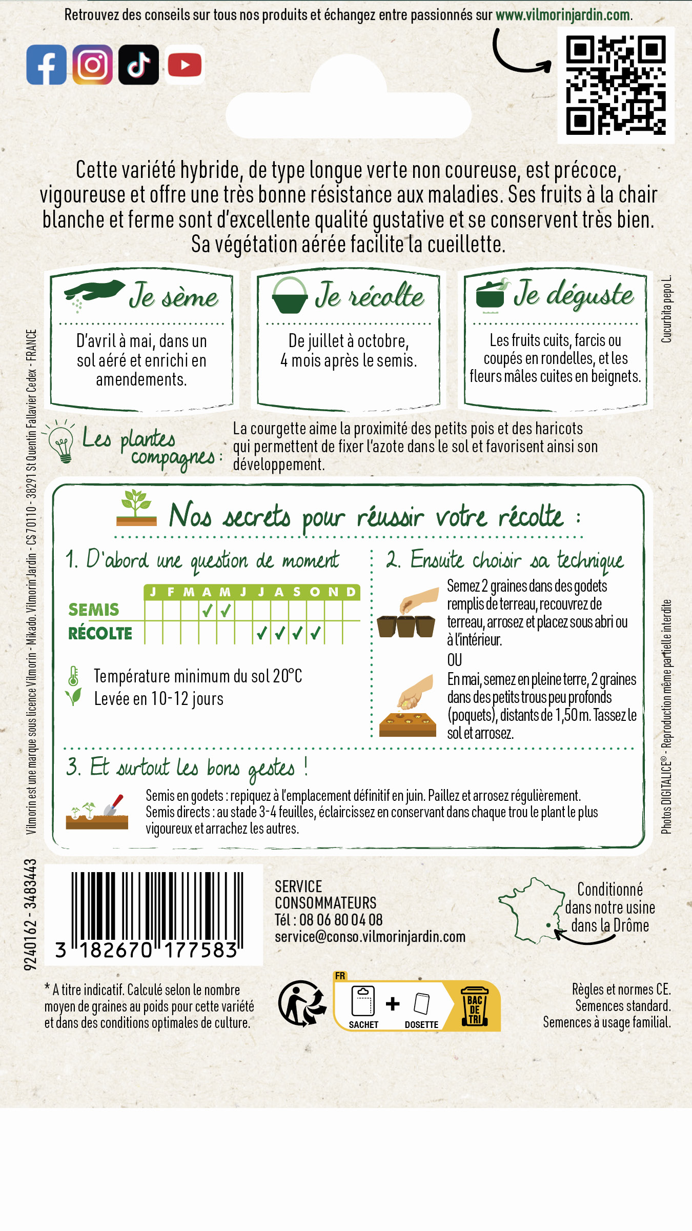 Courgette Anissa HF1 - Graines d'Exception - 2