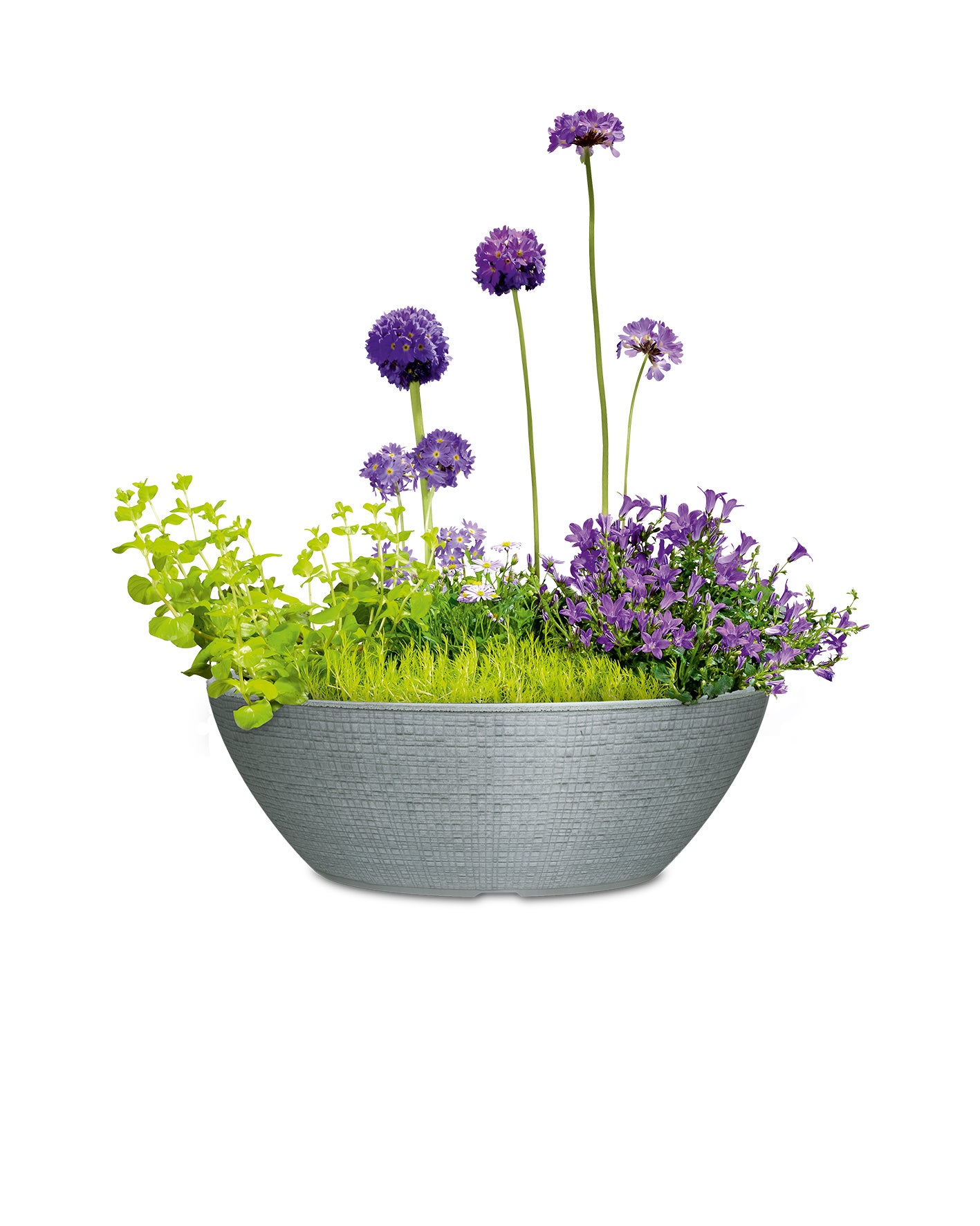 Scheurich Barceo Bowl 40, pot à fleurs/bac à fleurs, cylindrique, coloris: Stony Grey, fabriqué avec du plastique recyclé, pour l’extérieur - 2