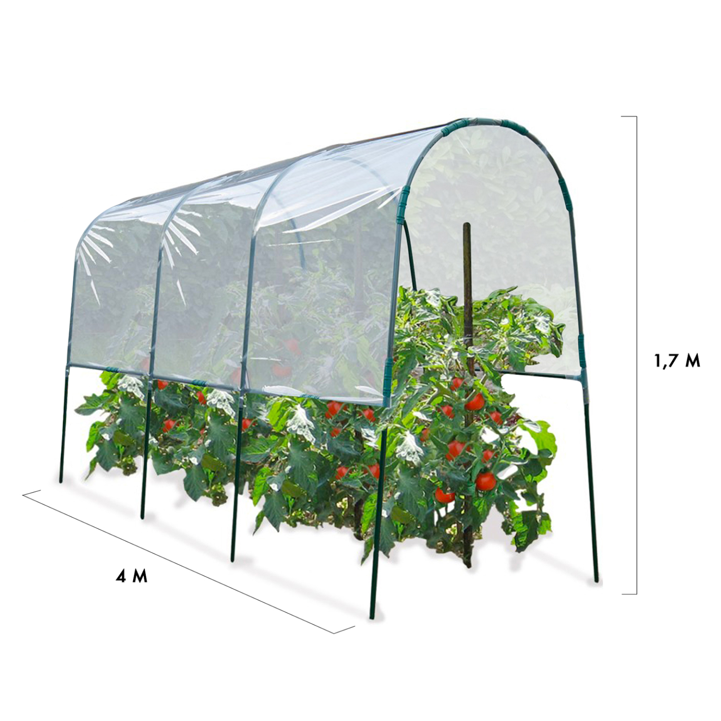 Serre à tomates 4 M - 5