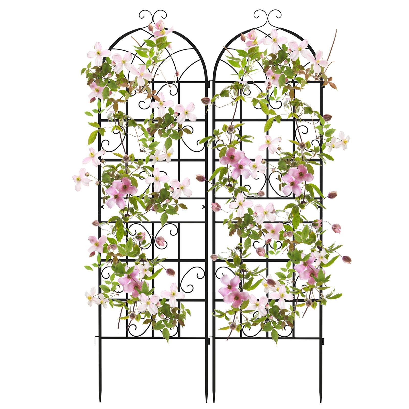 Lot De 3 Treillis En Plastique Extensible 200x100cm - Support Pour Plantes Grimpantes Blanc