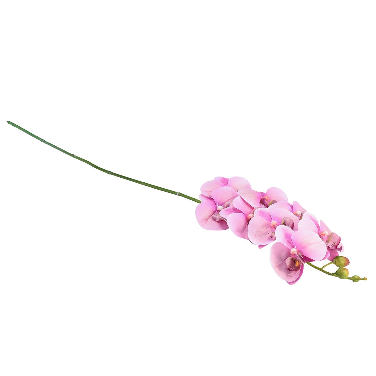 Ordhdee Orchidée Phalaenopsis artificielle 8 fleurs | Leroy Merlin