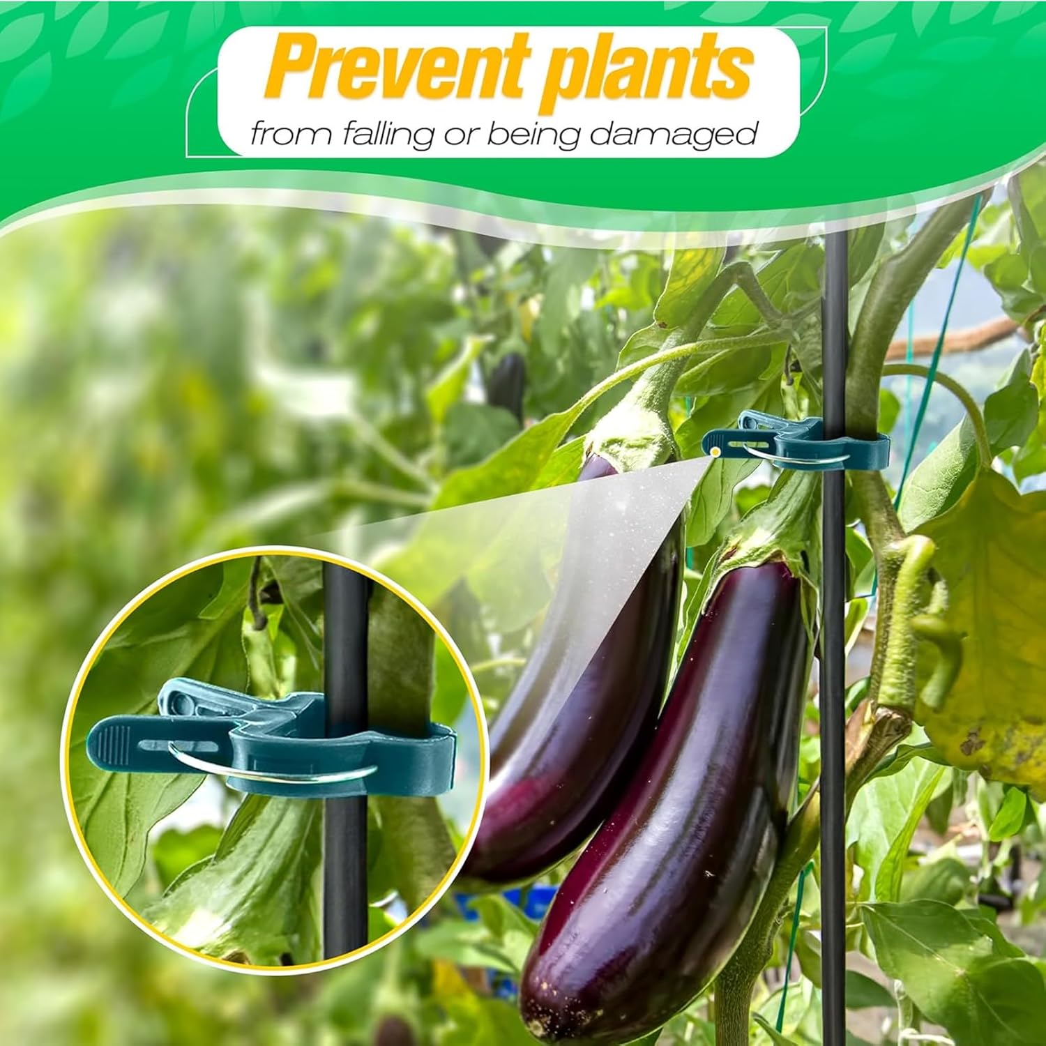 40 Pièces Attache Tomates Reutilisable,Clips de Support pour Plantes,Applicable à Jardins Intérieurs ou Extérieurs,Treillis(Grand) - 5