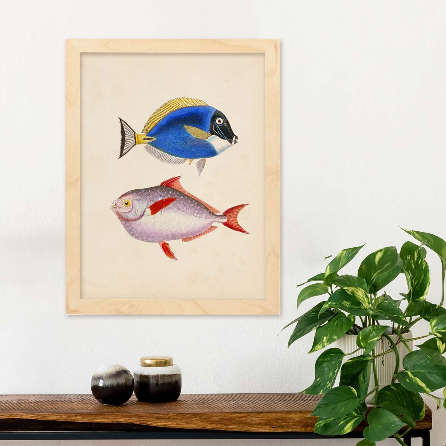 Lámina de dos peces azul, amarillo y morado y rojo en , fondo papel vintage poster papel 250 gr marco sin marco - a4