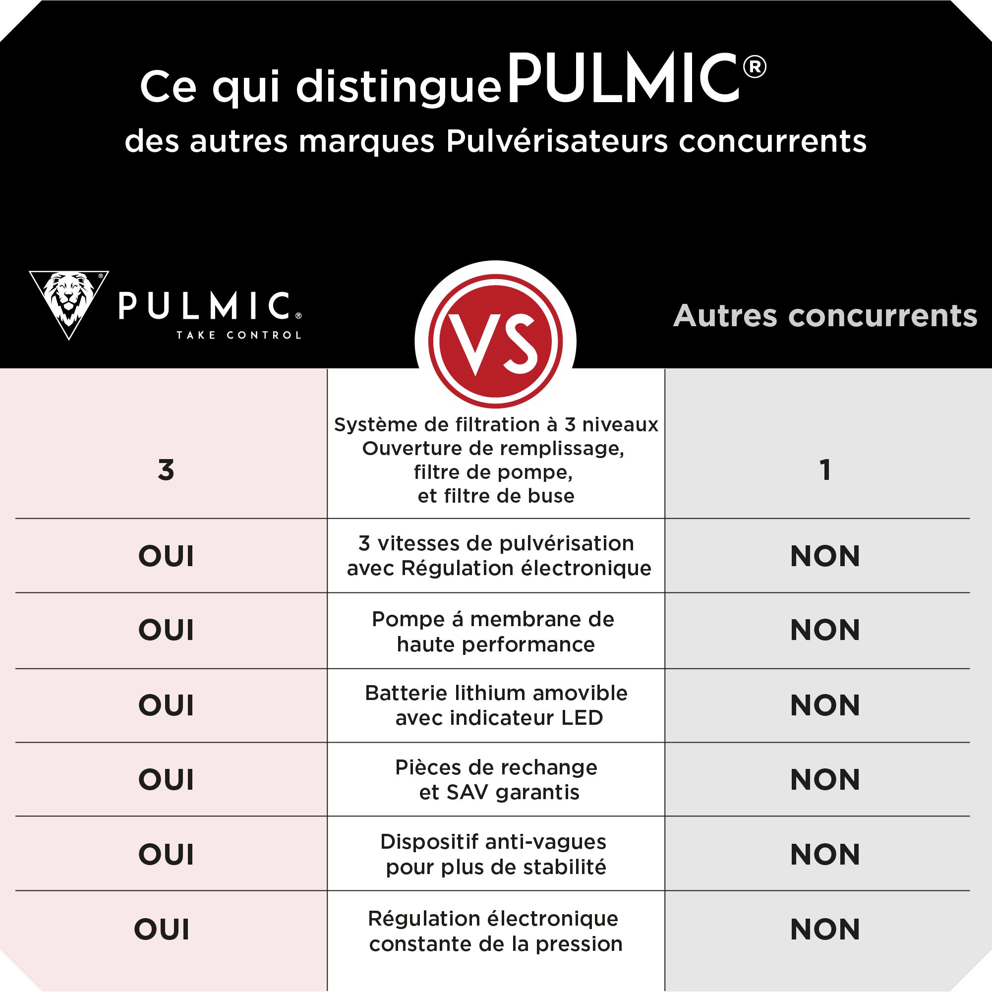 PULMIC Pulvérisateur Électrique Professionnel 35L pour Nettoyage de Toitures, Façades, Démoussage et Applications en Hauteur, Projette à 10m - 9