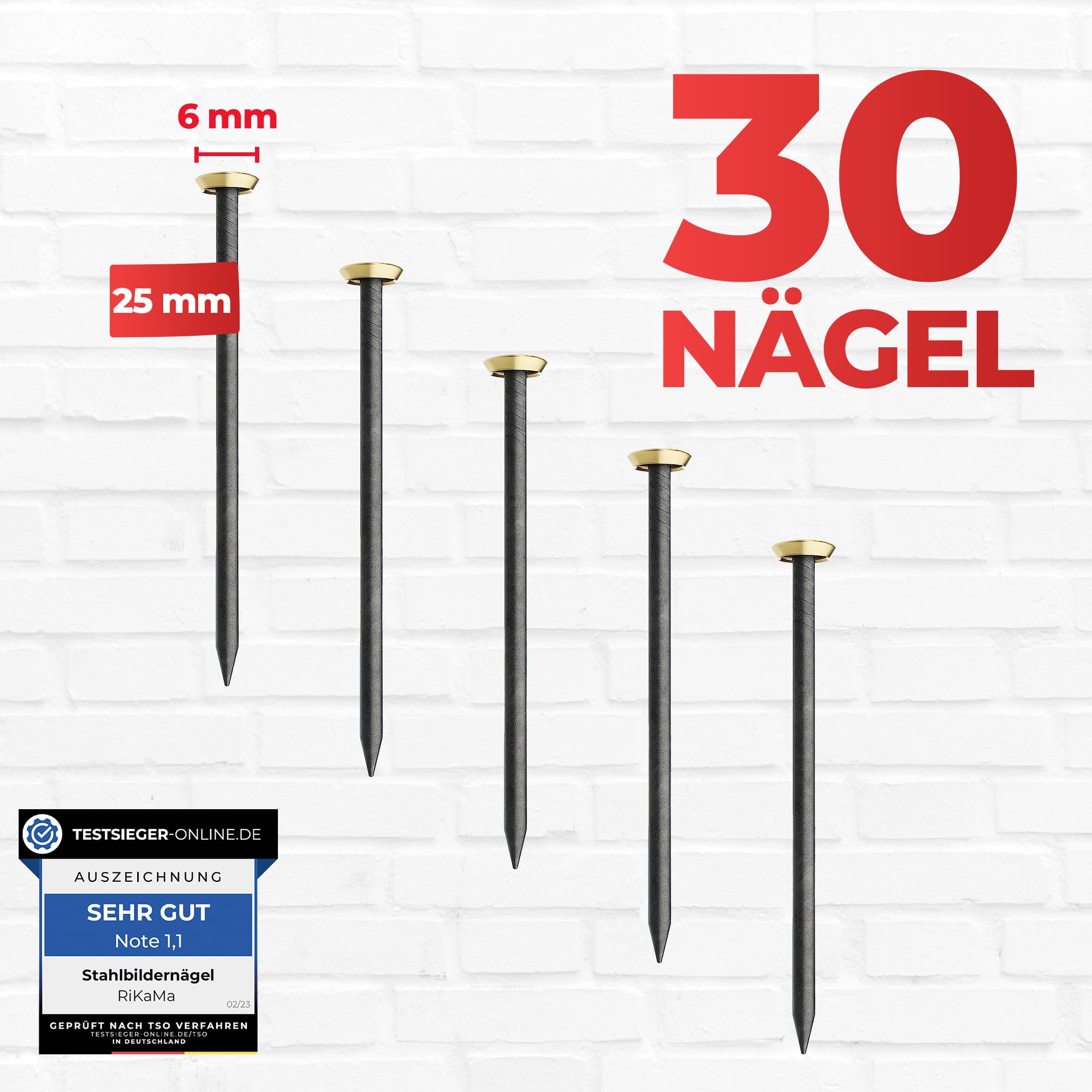 100 Chiodi da 25MM di Acciaio, Chiodi in Acciaio per uso su Cemento, Mattoni, Intonaco e Legno, Chiodi Zincati, per Lavori in Legno, Mattoni, uso Universale per Interni ed Esterni(Argenteo