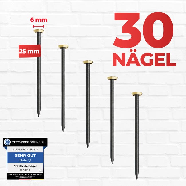 100 Chiodi da 25MM di Acciaio, Chiodi in Acciaio per uso su Cemento, Mattoni, Intonaco e Legno, Chiodi Zincati, per Lavori in Legno, Mattoni, uso Universale per Interni ed Esterni(Argenteo 100 Chiodi da 25MM di Acciaio, Chiodi in Acciaio per uso su Cemento, Mattoni, Intonaco e Legno, Chiodi Zincati, per Lavori in Legno, Mattoni, uso Universale per Interni ed Esterni(Argenteo