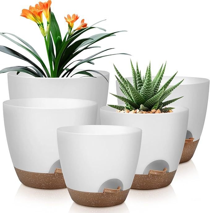Lot De 5 Clous à Fleurs En Sucre - Plastique Alimentaire Blanc - 4 Plats + 1 Bombé + Manche