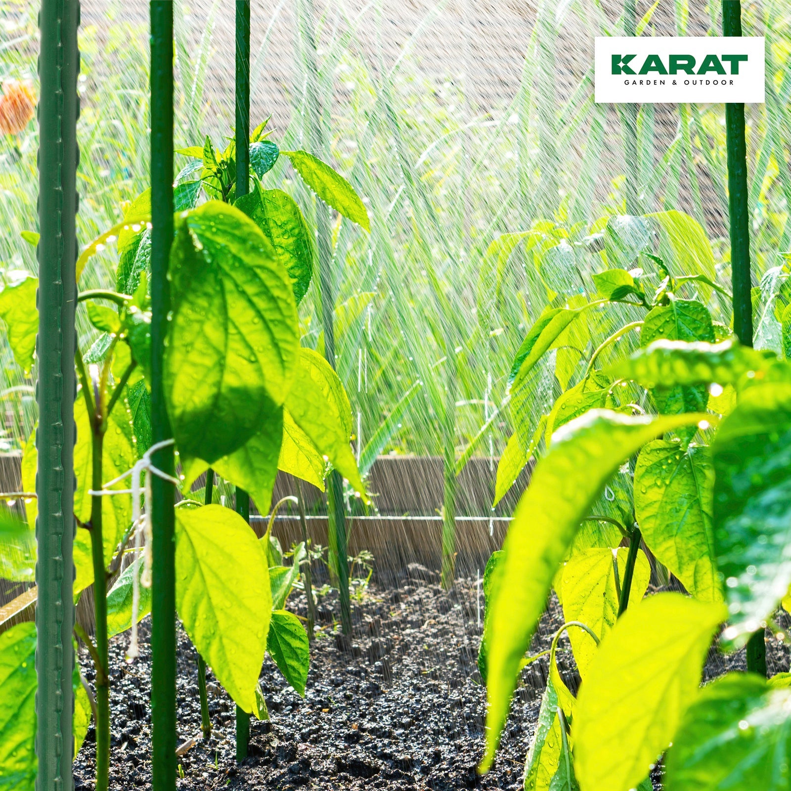 10 Tuteurs pour plantes Tuteur multifonctionnel En acier et plastique Epaisseur : 16 mm Longueur : 180 cm - 5