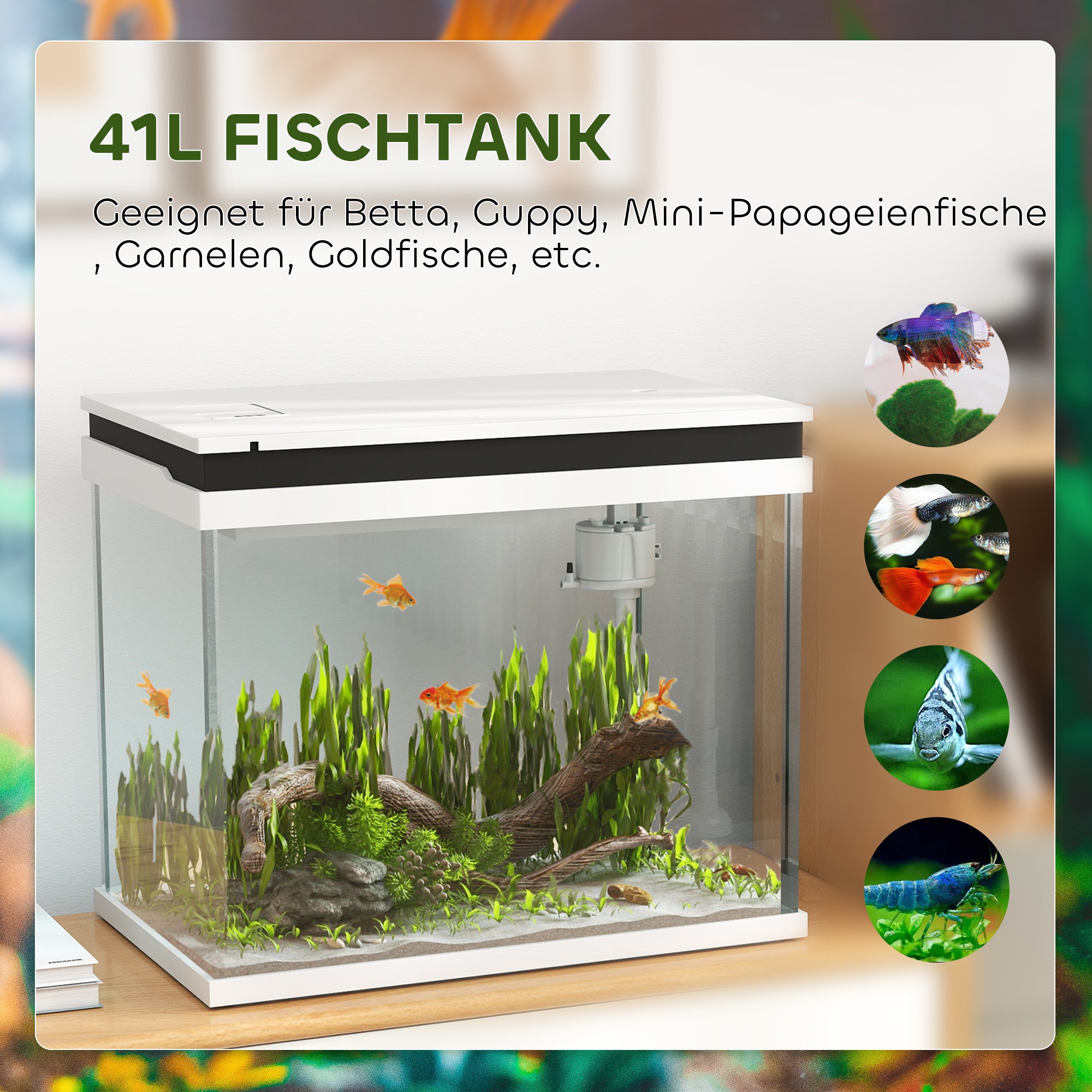 Aquário 41 L em Vidro com Filtro, LED, Bomba, Compacto, para Diferentes Peixes, Branco - 5