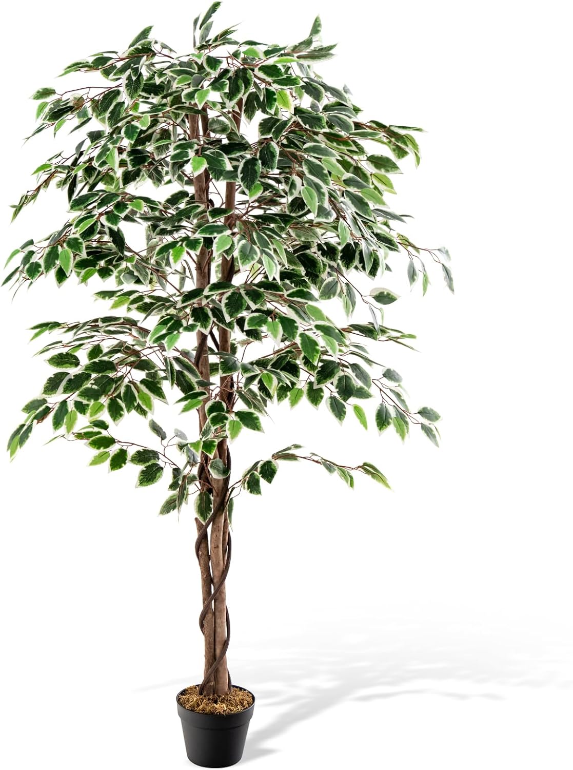 Set di 2 Piante Finte da Interno ed Esterno, Cedro Artificiali 54cm di Altezza, Albero Finto Realistico per Decorazione Domestica (Cedro) | Leroy Merlin