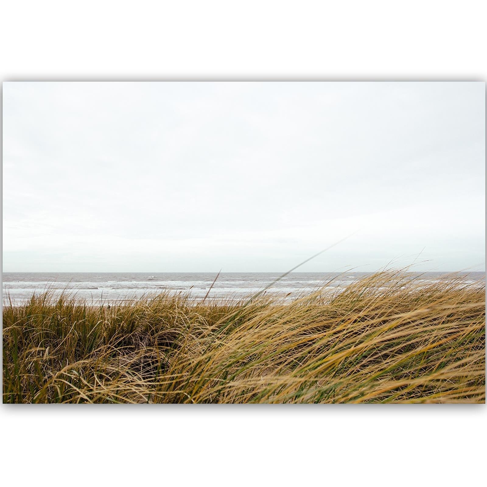 Tableau herbe dans la mer - 90 x 60 cm - 2