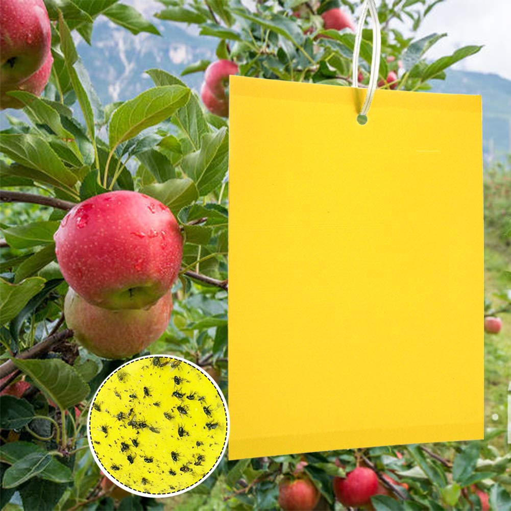 Pułapki na Owady, 50 Dwustronny Papier Samoprzylepny, Żółte Lepkie Kartki do Białych Kartek na Muchy do Zwalczania Owadów i Białych Kartek na Muchy