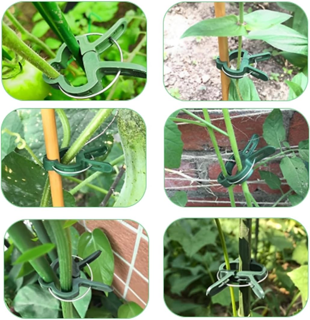 20Pcs Clips pour Plantes, Clips de Tomates, Clips de Support pour Plantes, Planter de Clips Tomates de Jardin, Pinces à Plantes Réutilisable Attache - 6
