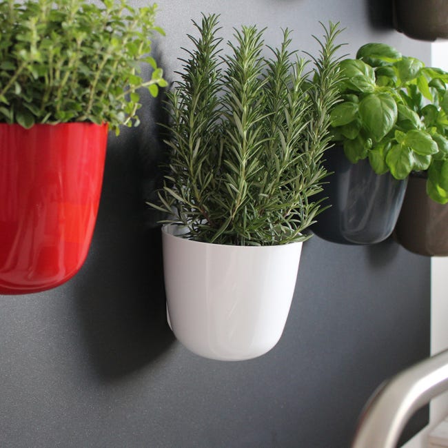 UEB 6pcs Calamite Da Frigo A Forma Di Cactus In Vaso, Magneti Colorati Per Lavagna E Frigo, Decorazione Casa Simpatica (Vaso Arancione)