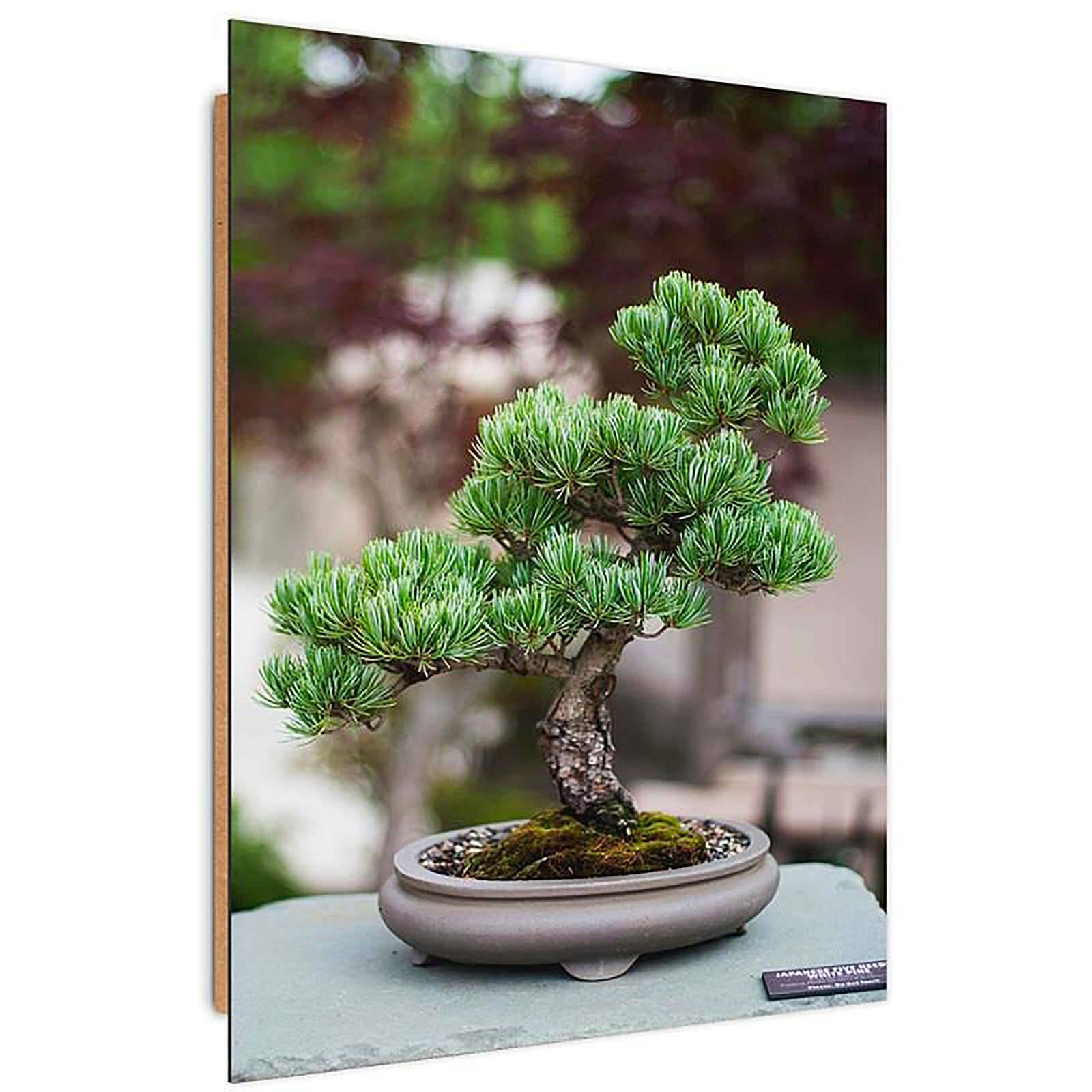 Tableau bonsaï de bois - 40 x 50 cm - 2