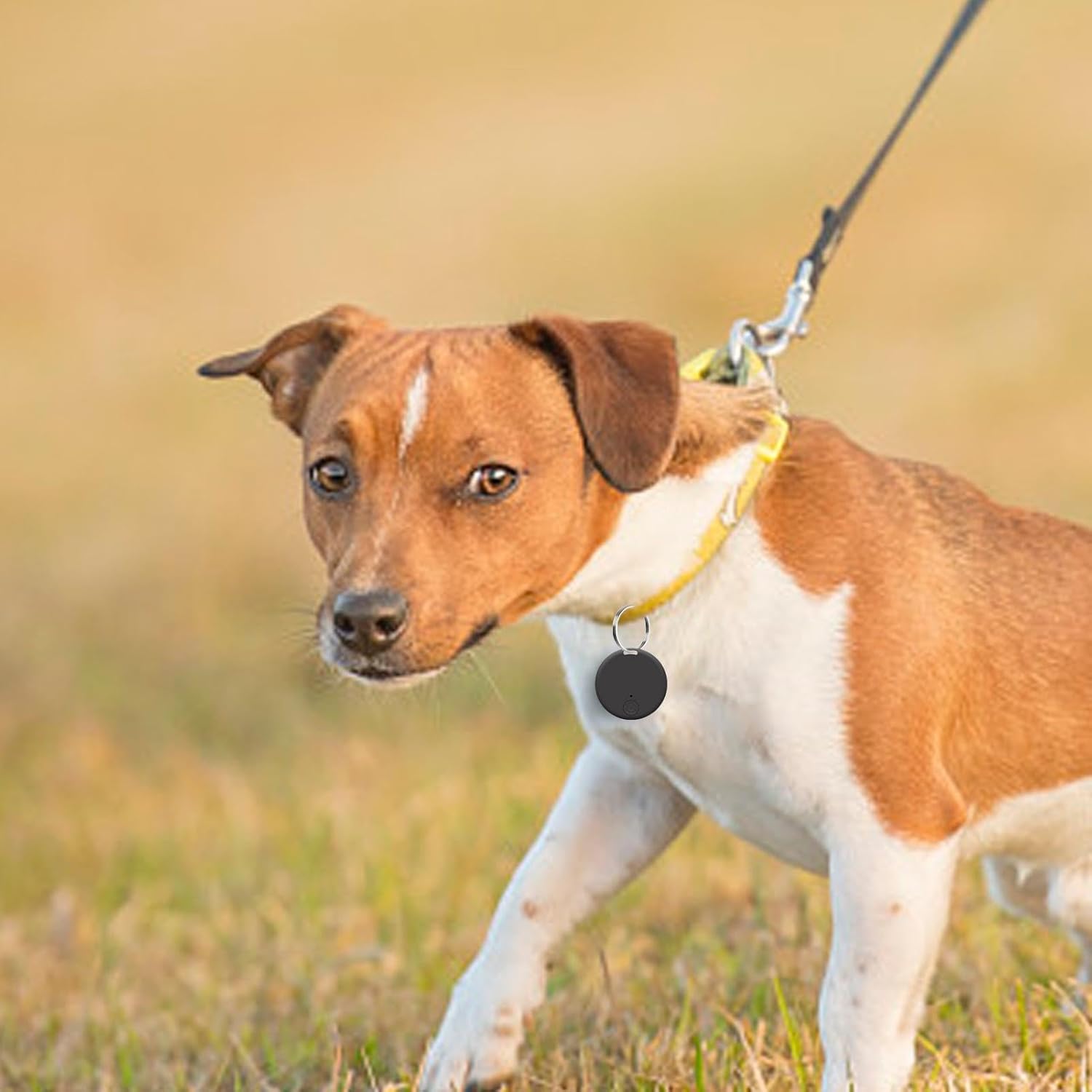 Unidades de Localizador GPS para Cães Alarme Perda Telefone Localizador ...