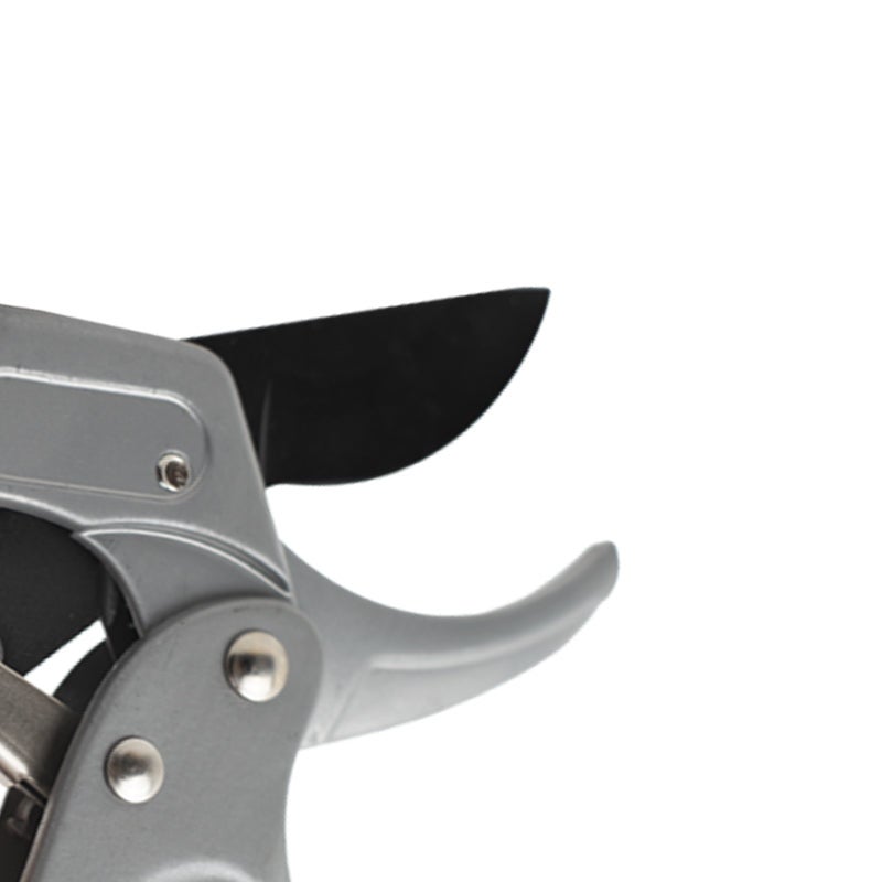 Forbici a cricchetto professionali da potatura da 20 cm - Cesoie per potatura in acciaio inox con impugnatura antiscivolo - 4