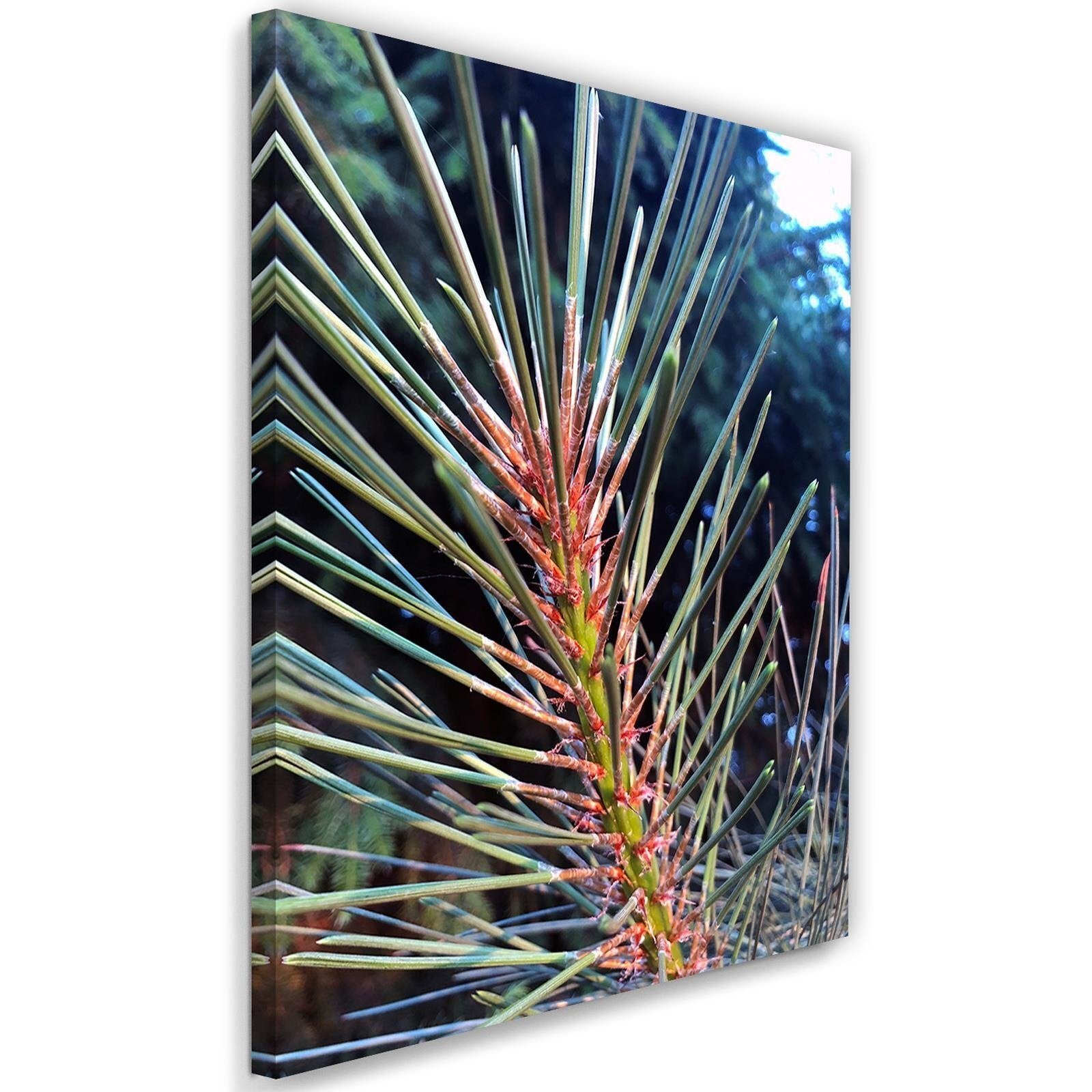 Tableau aiguilles de pin - 60 x 90 cm | Leroy Merlin