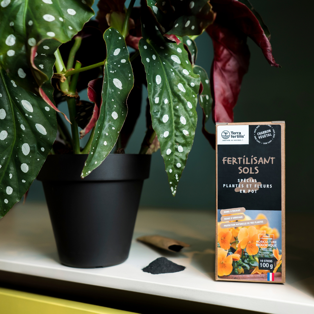 Fertilisant Plantes Et Fleurs En Pot À Base De Biochar - 10 Dosettes de 100g - 4