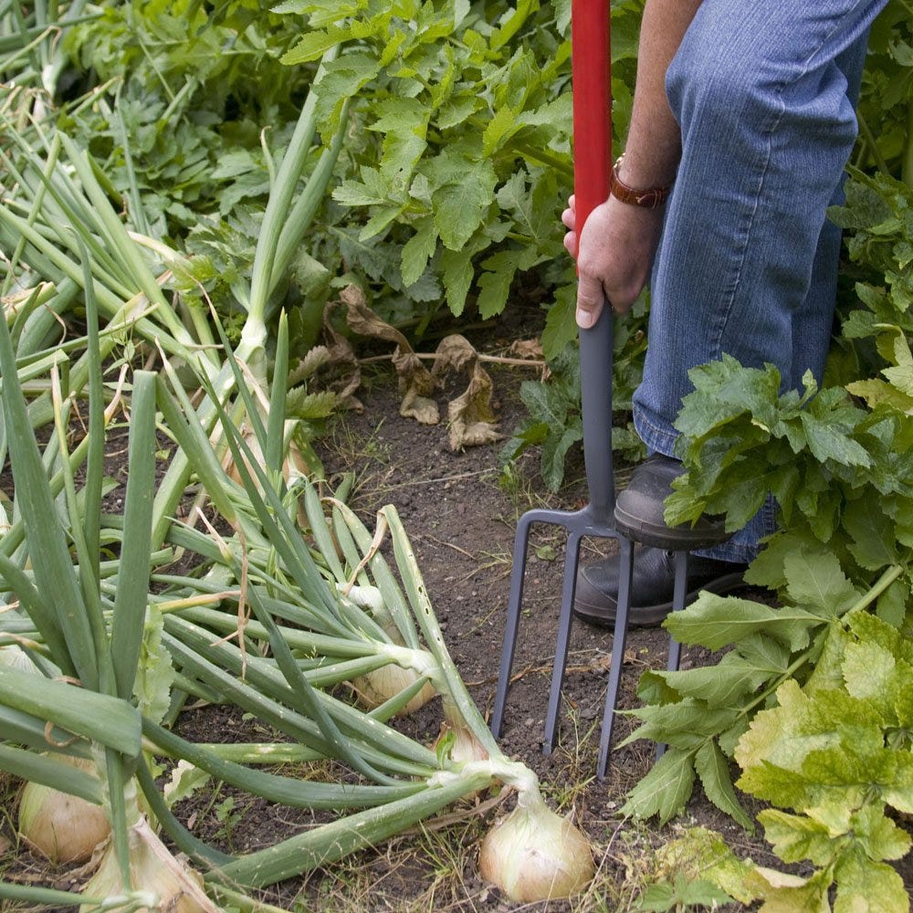 Vanga Per Orto PALA DA SCAVO "ALL BLACK" METAL DETECTING - Mhe Detector Pala Da Giardino - Foto 7