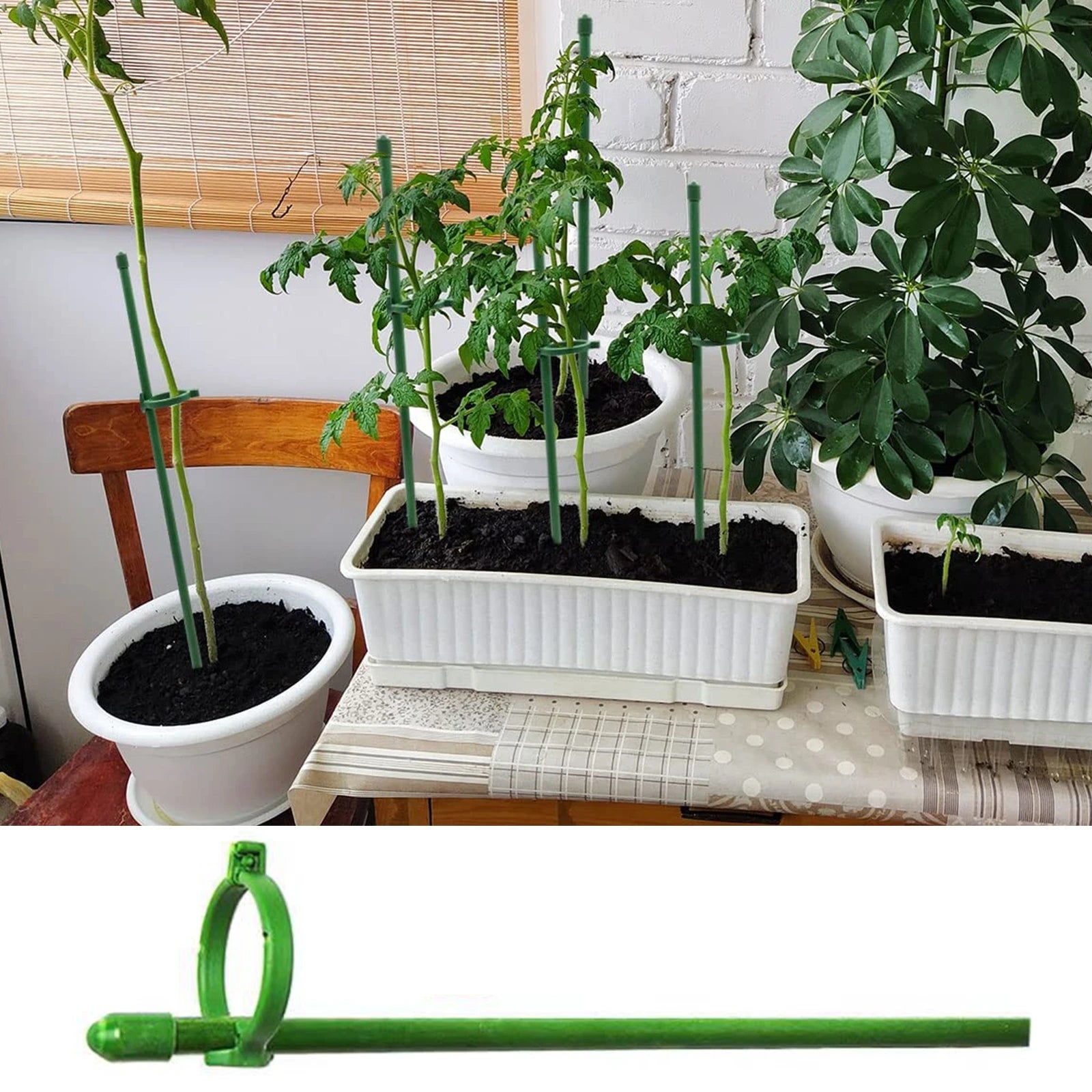 Piquet de jardin Piquet de jardin ajustable 10 tiges de support de plantes avec anneaux pour plantes, fleurs et tomates 30cm - 5