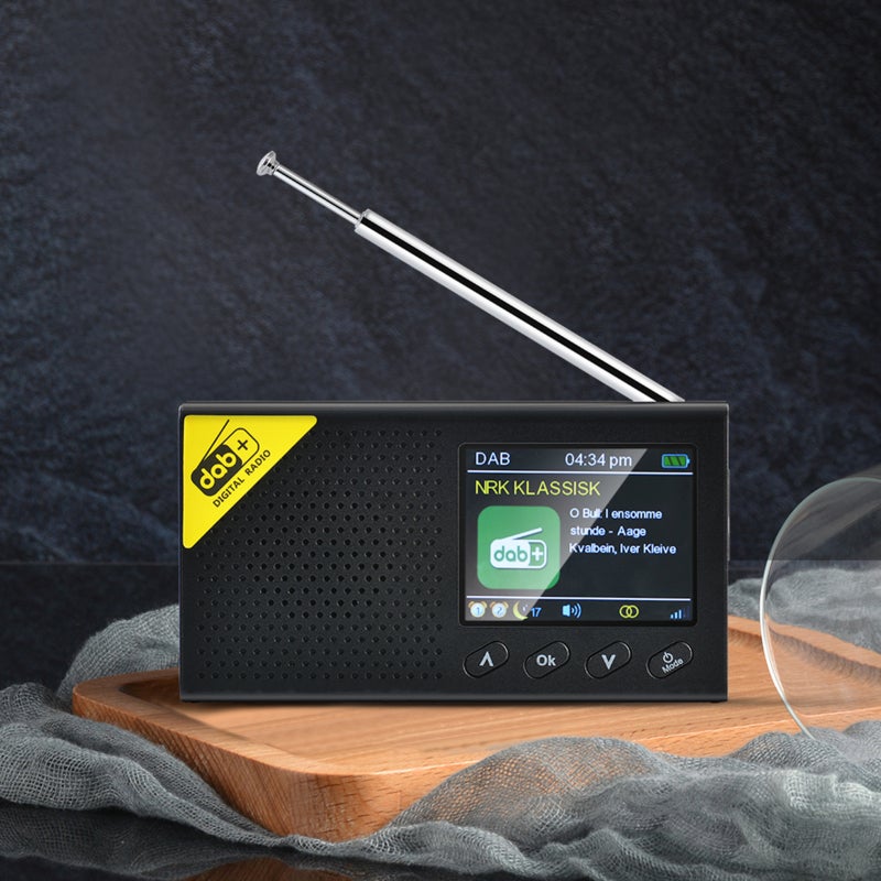 Radio numérique DAB et FM avec Bluetooth, radio numérique portable rechargeable sans fil DAB+FM avec système audio stéréo, écran LCD, multilingue - 5