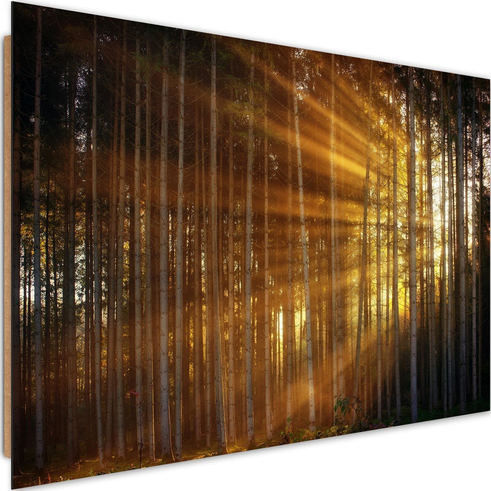 Impression sur Toile 70x50cm Tableaux Image Photo Rayons du soleil forêt été