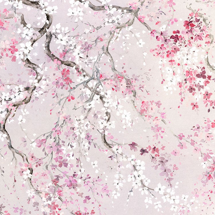Fotomurale in tessuto non tessuto di Komar - Kirschblüten - Dimensione: 300 x 280 cm - 7