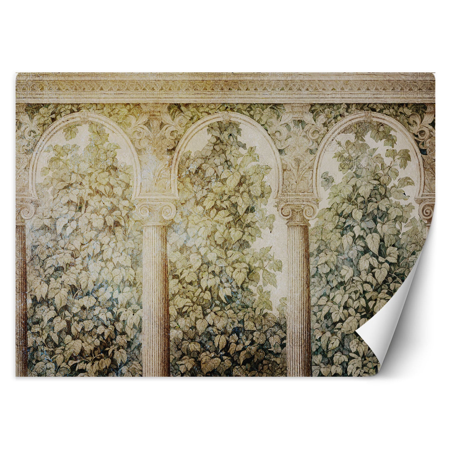 Fototapeta, Kolumny bluszcz rośliny 250x175