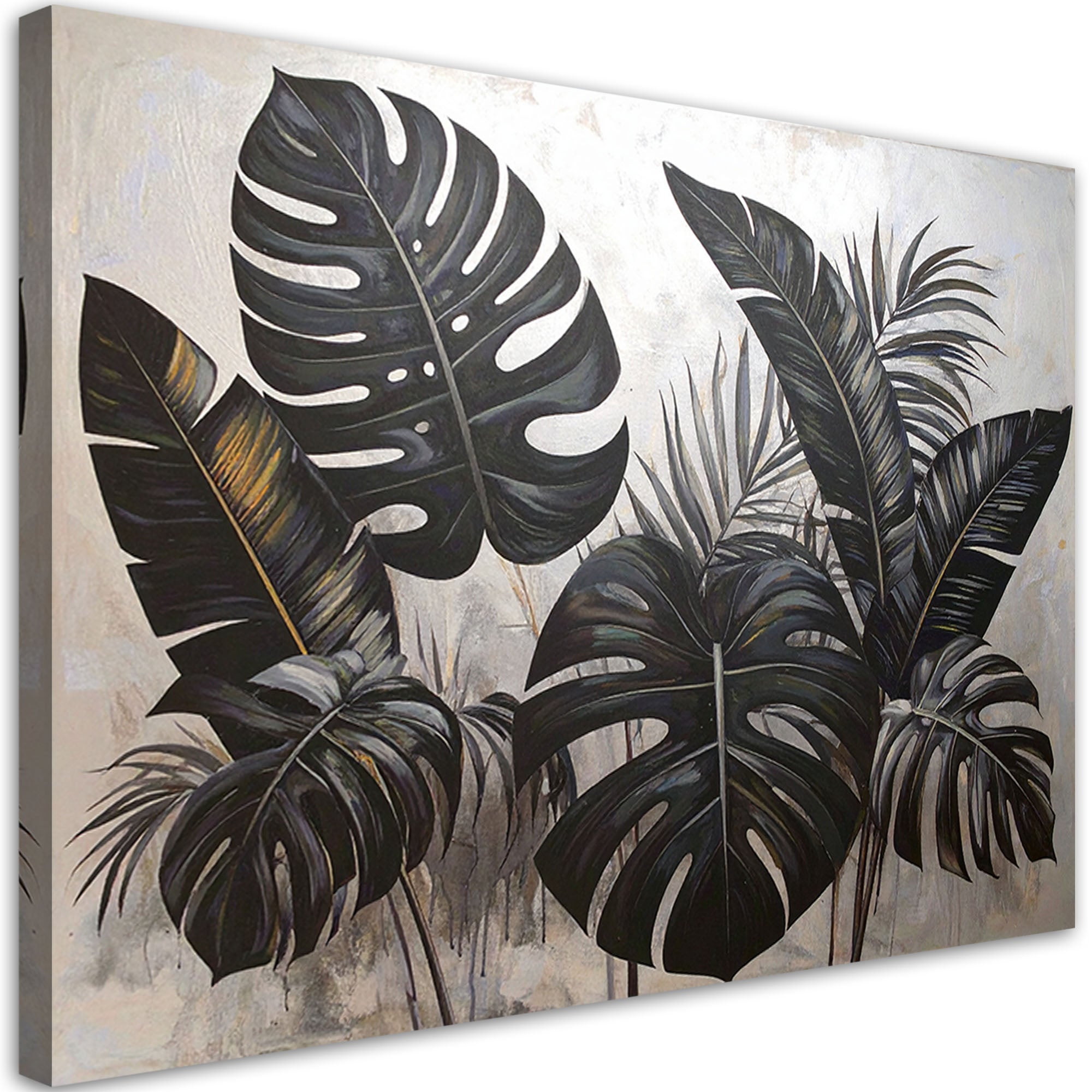 philodendron florida beauty alba Philodendron Florida Beauty - Vibrant Variegated Houseplant main image 1