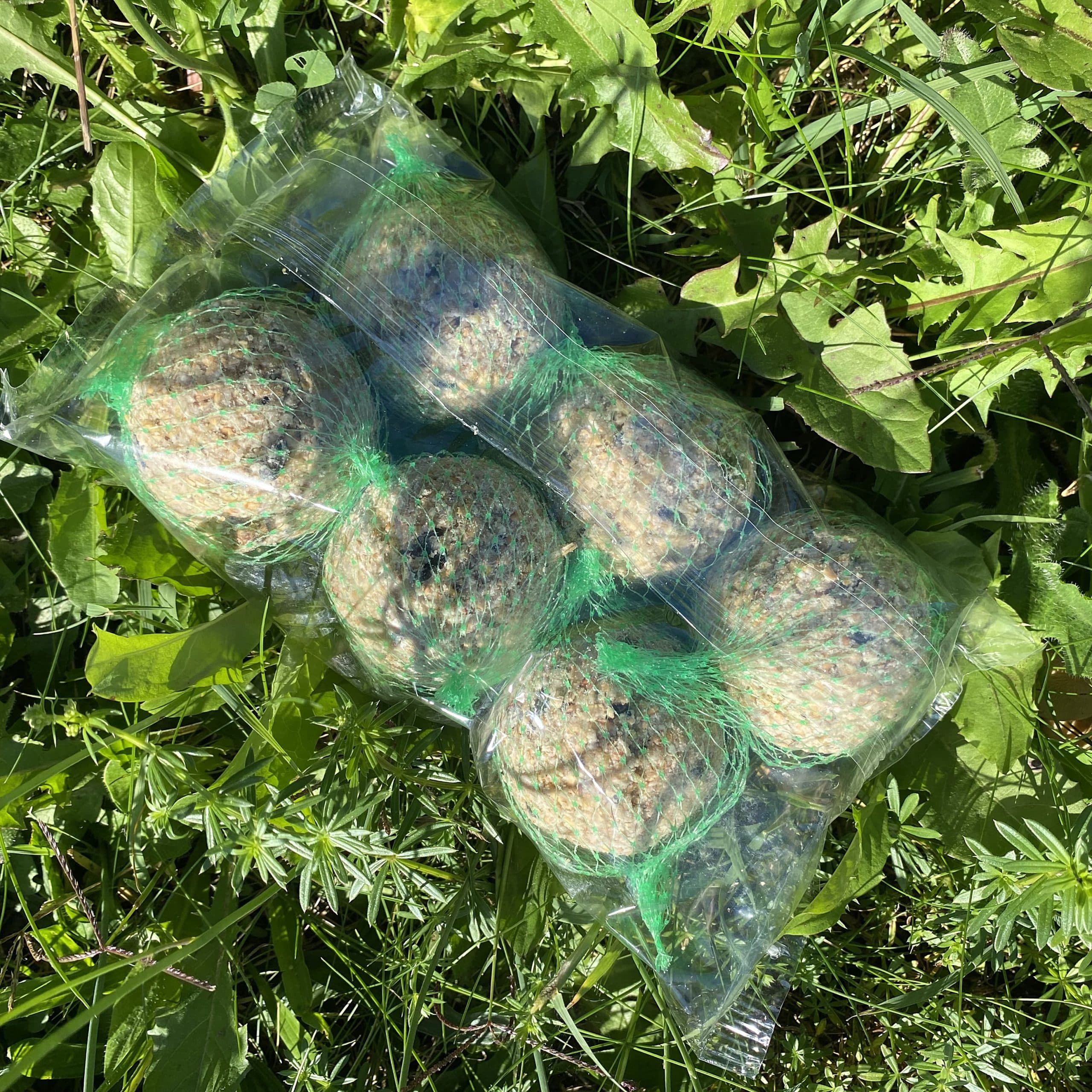 Lot De 2 Supports à Boules De Graisse Pour Oiseaux - Avec Couvercle Et Chaîne, Noir, Pour Jardin Ou Balcon