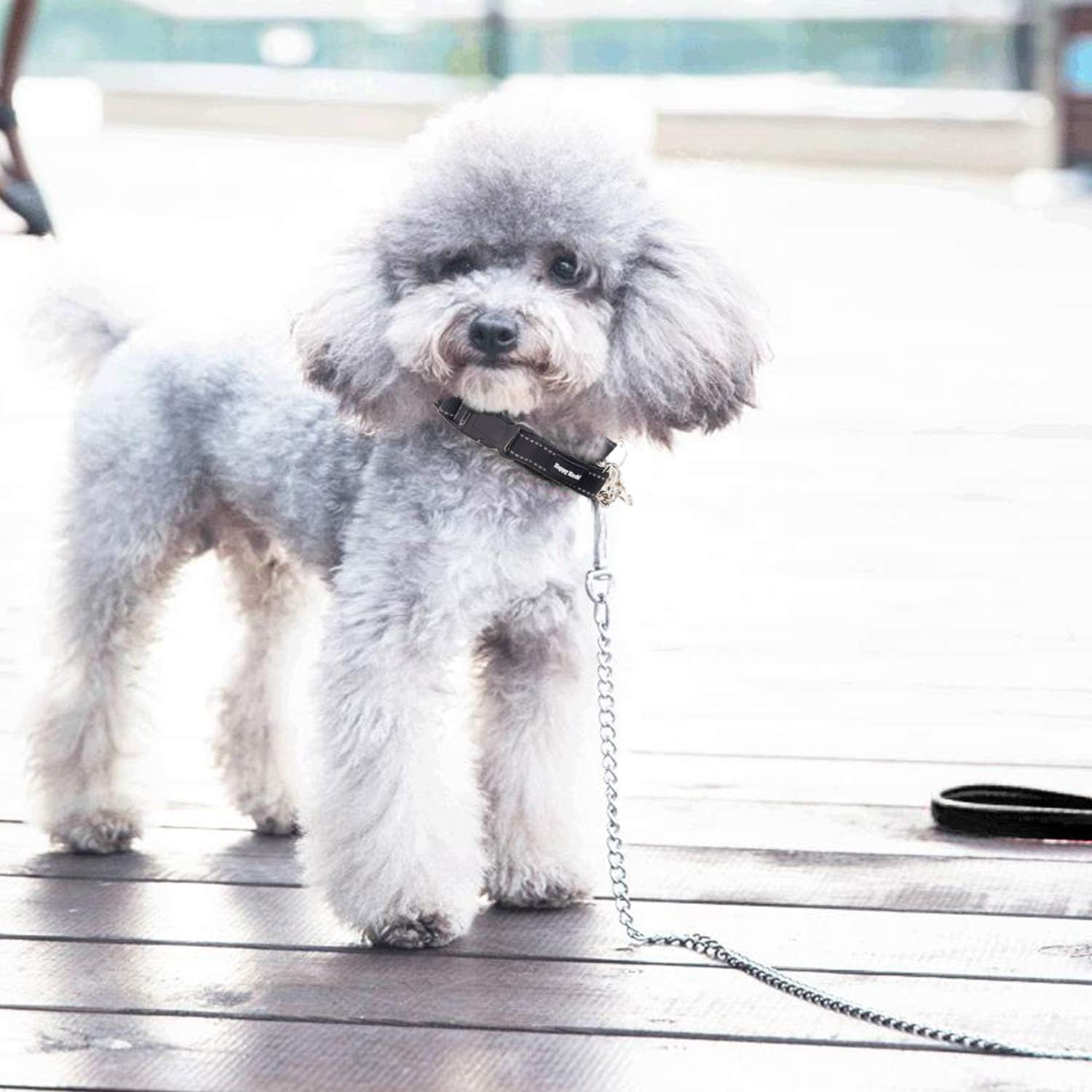 Guia de corrente resistente para cães grandes e médios - 1,8 m, 2 mm de espessura - Alça acolchoada confortável - 7