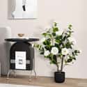 Plante artificielle à suspendre - pot en ciment - H25 cm - Atmosphera Plante artificielle à suspendre - pot en ciment - H25 cm - Atmosphera