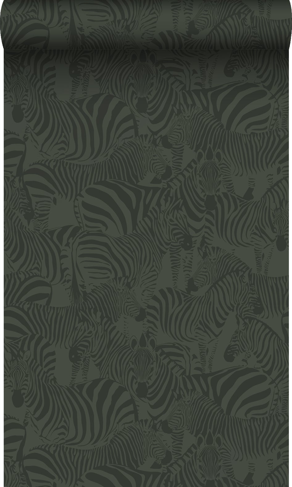 Tapeta zebry ciemnej zieleni - 50 x 900 cm - ORIGIN
