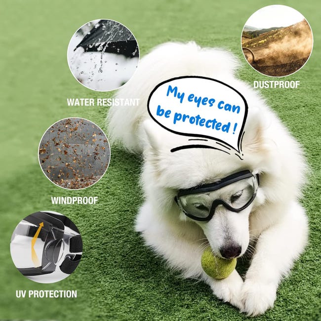 Lunettes pour Chiens Protection des Yeux à l'extérieur Sangle