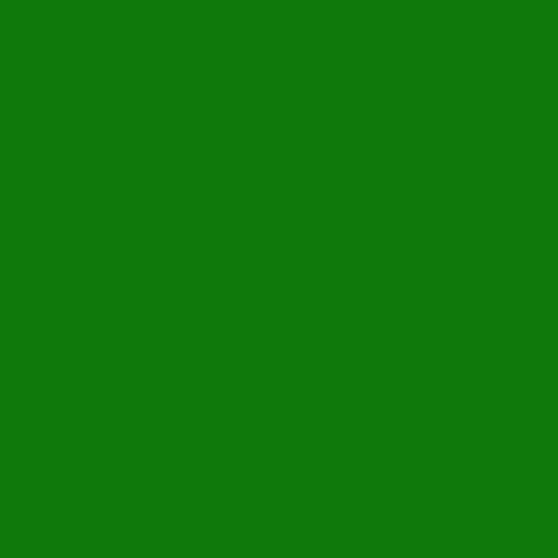 Peinture Aérosol BRAVO NESPOLI - Vert feuille (180052) 0,4 L - Contenance : 0,4 L - 2