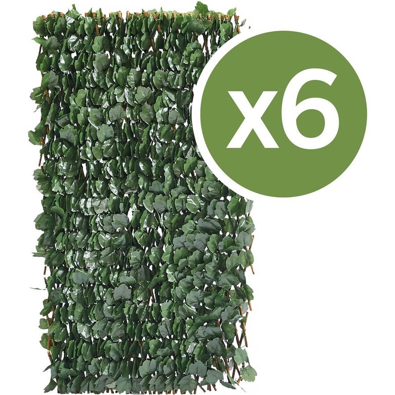 Zestaw 6 plotów z kraty wierzbowej "Fragon" - 200 x 100 cm - zielony