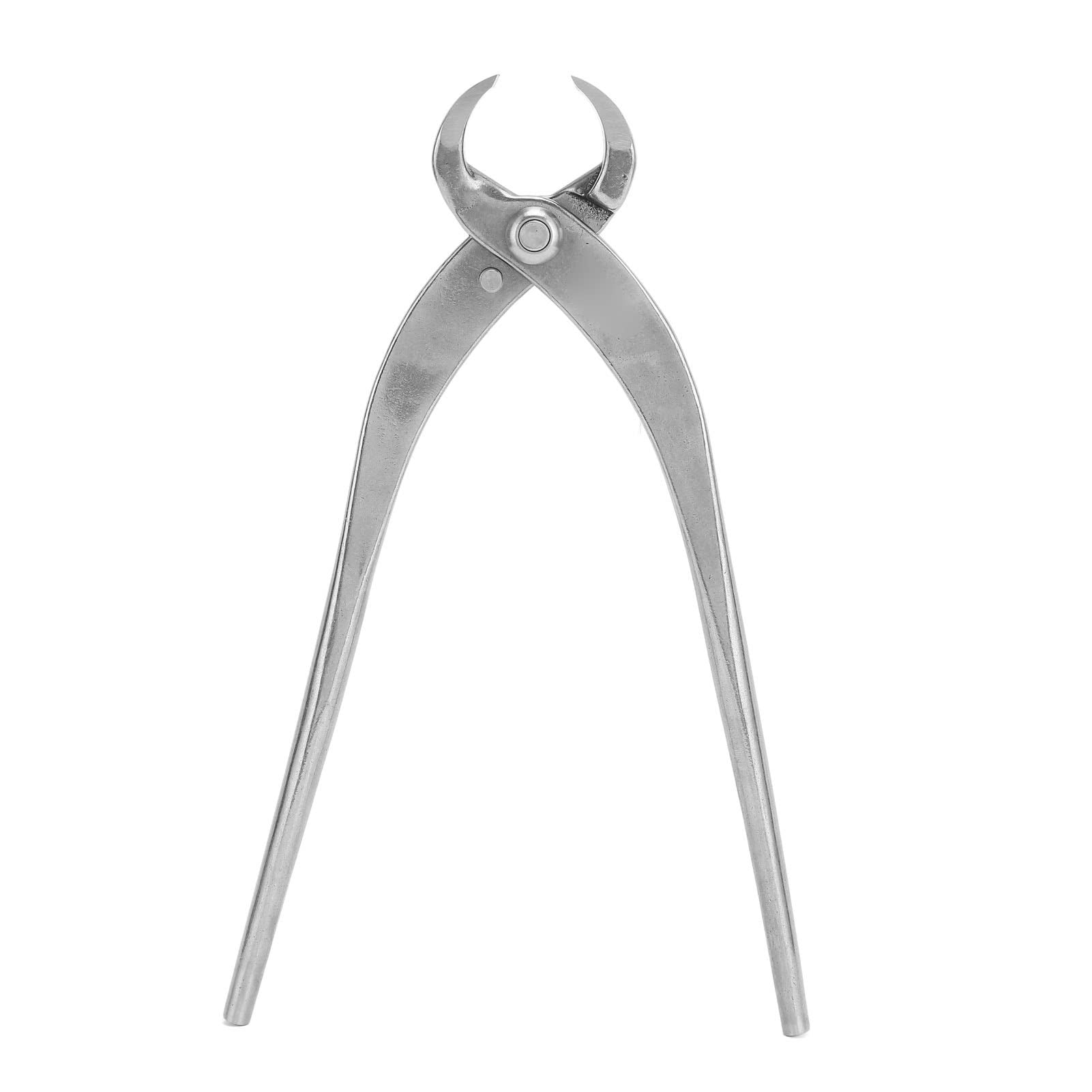 Pince à Bonsaï Rankomu 210mm - Acier Inoxydable, Ouverture 25mm, Pour Fil Et Taille